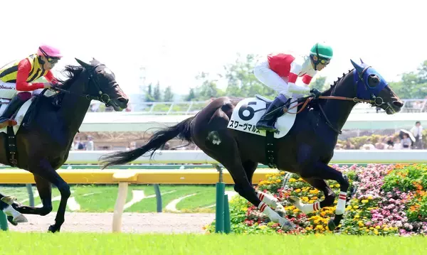 【東京４Ｒ・３歳未勝利】セレクト１・９億円馬スワーヴマルスが２番手から押し切る　武豊騎手「乗り味がよく素質がありそう」