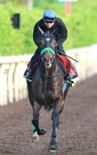 【ヴィクトリアＭ】武豊騎手「競馬場でテンションが…」　エリカエクスプレス快走のポイントは
