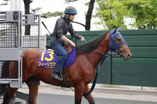 【函館記念】上がり馬フィーリウスが連勝中の勢いで初タイトルを狙う　陣営「使うたびに良くなって、成長しています」
