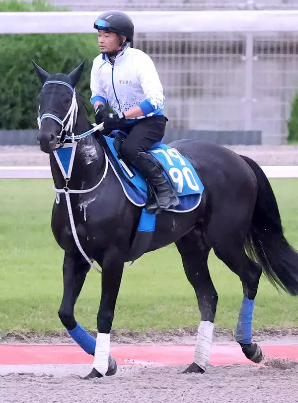 【注目馬動向】阿蘇Ｓ８着のモックモックは日本テレビ盃とシリウスＳの両にらみ　ストレングスはサマーチャンピオン本線