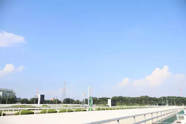 暑熱対策で園田競馬場での勝利騎手インタビューを休止　前日にジョッキーが熱中症の疑いで表彰式が途中終了