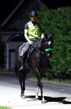 【レパードＳ】１番人気のメルカントゥールは３着　坂井瑠星騎手は「ずっと左手前で走っていました」と敗因挙げる