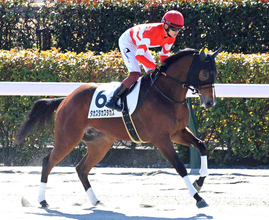【２０日の注目・中山１０Ｒ】高須クリニック院長の所有馬が登場「ＹＥＳ！」「的中なう」馬券購入者に歓喜の声を上げさせられるか