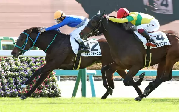 【中山３Ｒ・２歳未勝利】横山兄弟が鼻差の大接戦で和生騎手に軍配　スミッコディスコが５戦目で初白星