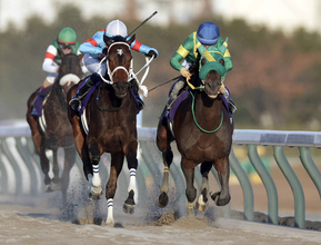【チャンピオンズＣ】ダブルハートボンドが鼻差の接戦を制しＧ１初挑戦Ｖ　坂井瑠星騎手「素晴らしいのひと言です」