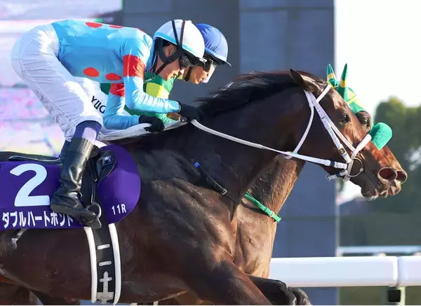 【チャンピオンズＣ】ダブルハートボンドが鼻差の接戦を制しＧ１初挑戦Ｖ　坂井瑠星騎手「素晴らしいのひと言です」