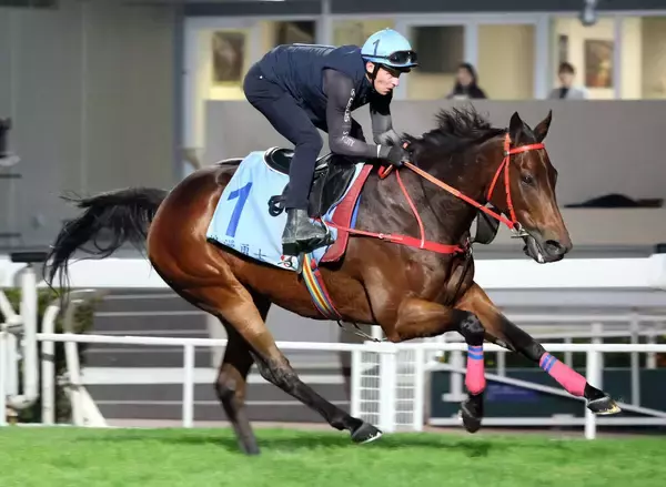 【香港カップ】４連覇に挑むロマンチックウォリアーの主戦マクドナルド騎手　日本馬２頭をライバルとして警戒