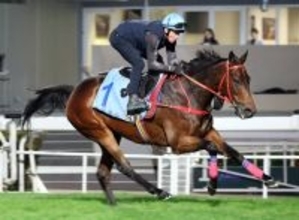【香港カップ】４連覇に挑むロマンチックウォリアーの主戦マクドナルド騎手　日本馬２頭をライバルとして警戒