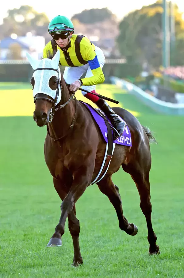 有馬記念１６着のミステリーウェイはドバイ・ゴールドＣに予備登録　海外初挑戦も視野