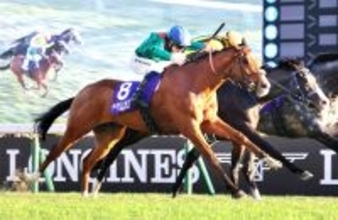 ２５年トップ１００Ｇ１レース１位はジャパンＣ！カランダガンとマスカレードボールが死闘　英チャンピオンＳと同レーティング