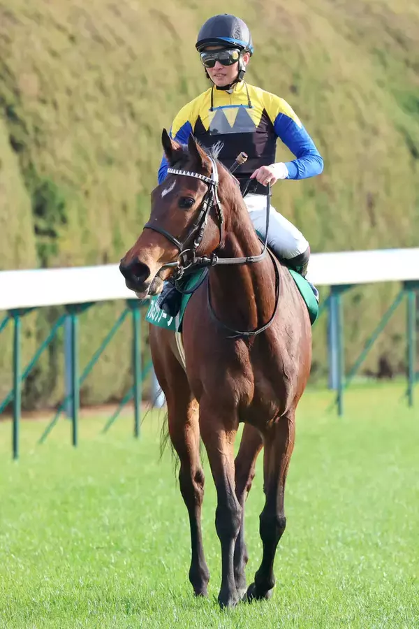 【注目馬動向】小倉牝馬Ｓ５着のフレミングフープは中山牝馬Ｓを視野　アドマイヤテラは天皇賞・春目指す