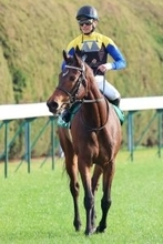 【注目馬動向】小倉牝馬Ｓ５着のフレミングフープは中山牝馬Ｓを視野　アドマイヤテラは天皇賞・春目指す