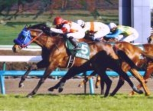 「地方の雄」ネイティヴハート死す　０６年にオーシャンＳを制覇　単勝１万３９５０円での勝利は現在も同レース最高記録