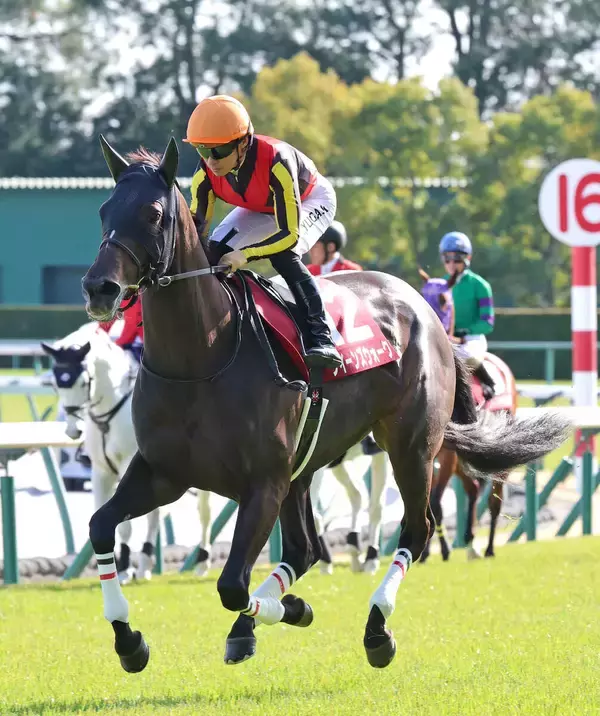 【金鯱賞】クイーンズウォークは連覇ならず３着　３連覇中だった川田将雅騎手は「今日できる全力の走りです」とたたえる