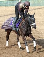 【高松宮記念・水納の特注馬】ナムラクレアは２週連続坂路で好時計マーク　ラストランへ万全の仕上がり