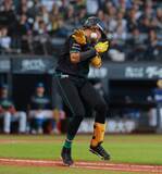 「【日本ハム】水谷瞬にアクシデント　一塁手送球が顔面に→グラウンドに倒れこみ悶絶　担架登場も自力でベンチ裏へ　本拠地騒然」の画像1