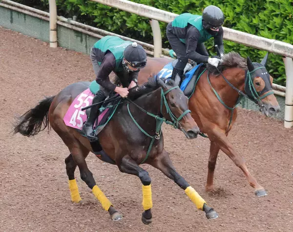 【フローラＳ】武器は操縦性の高さ！３歳牝馬ながらメンタル安定！「乗せてください」松山騎手が惚れ込んだリアライズルミナス