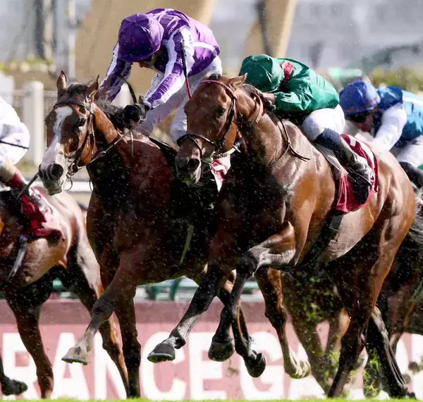 昨年の凱旋門賞２着馬ミニーホークが２６年Ｖ発進　貫禄の差し切り　今年のオッズは昨年Ｖのダリズに続く２番人気