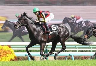 【２０日の注目・東京９Ｒ】クロワデュノール全弟が日本ダービーと同舞台で古馬撃破に挑む　前走後あえて放牧した成果見せる
