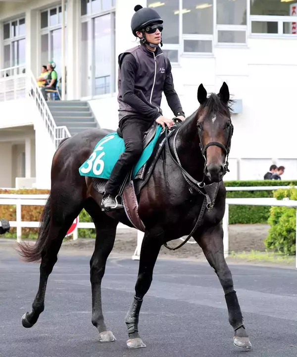 【札幌５Ｒ・２歳新馬】藤田晋オーナーの２・５億円馬スワッグウォークは直線伸びず４着　武豊騎手「まだ仕上がり途上」