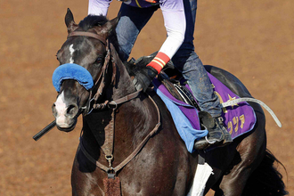 【注目馬動向】２３年菊花賞馬のドゥレッツァは田辺裕信騎手との初コンビで新潟記念へ