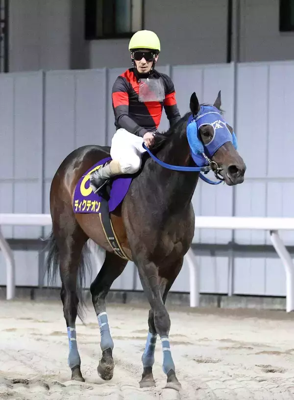 【コリアＣ】連覇狙う大井のディクテオンが国内最終追い切り　２６日に韓国へ出発予定　荒山勝調教師「今日、無事に…」