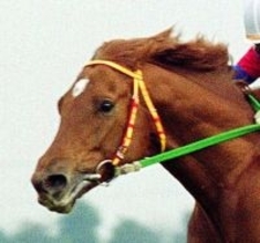 「最強世代」２歳王者の衝撃レコード勝ち！骨折、目の外傷、筋肉痛…苦難乗り越えグランプリ３連勝の「栗毛の怪物」　朝日杯ＦＳ過去の名勝負