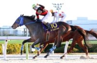 【東京大賞典】ディクテオンが地方馬２０年ぶりとなる戴冠　来春ドバイ・ワールドＣ挑戦へ