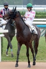 【京成杯】３戦連続上がり最速マーク！マテンロウゲイルここでも　野中調教師「バランス良く走れたらすごい脚を使えそう」