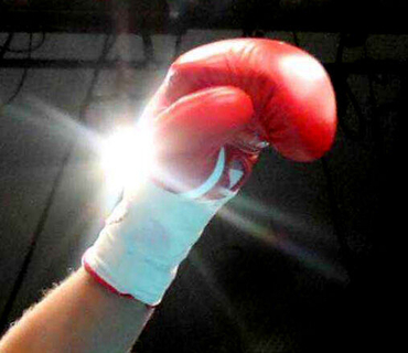 ボクシングプロテストに１４選手合格　ＪＢＣ発表