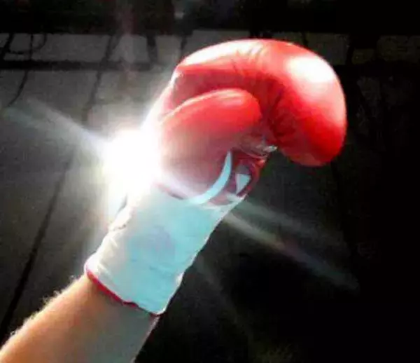 ボクシングプロテストに１４選手合格　ＪＢＣ発表