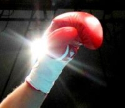 ボクシングプロテストに１４選手合格　ＪＢＣ発表