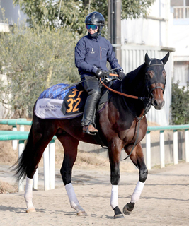 【クロッカスＳ】距離短縮と馬具工夫の効果で良血馬オルネーロが巻き返しへ　宮田調教師「より能力が出せる」