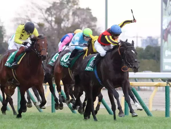 【東京新聞杯】「すごくいい反応」ルメールがコンビ９戦目での変わり身に驚き！大人になったトロヴァトーレ重賞２勝目