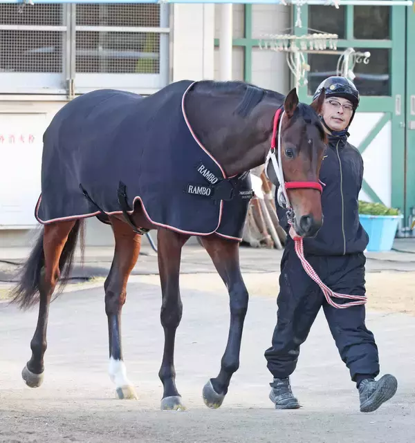 【ＰＯＧ】今週は新馬ラスト　砂上で勢い止まらぬ矢作厩舎からコルヴァス出陣　陣営「今が一番しんどい時期ですが…」