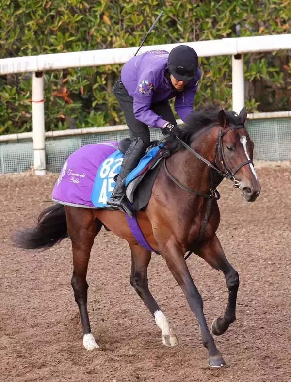 【注目馬動向】ダイヤモンドＳ１着のスティンガーグラスは天皇賞・春へ　
