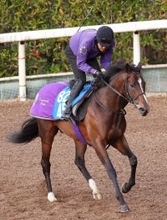 【注目馬動向】ダイヤモンドＳ１着のスティンガーグラスは天皇賞・春へ　