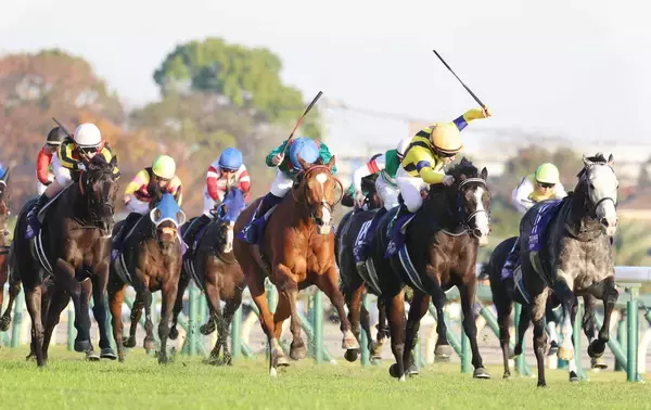 【大阪杯・超ブル診断ステップレース編】レコード決着のジャパンＣ　２５年ダービー馬を「Ｇ」評価も遜色つけがたいライバルとは