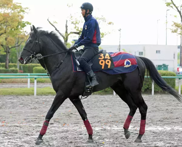 【青葉賞】森一調教師「東京向きの馬」＆レーン騎手と新コンビ　無傷３連勝でノーブルサヴェージがダービーの権利取りへ