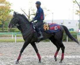 【青葉賞】森一調教師「東京向きの馬」＆レーン騎手と新コンビ　無傷３連勝でノーブルサヴェージがダービーの権利取りへ