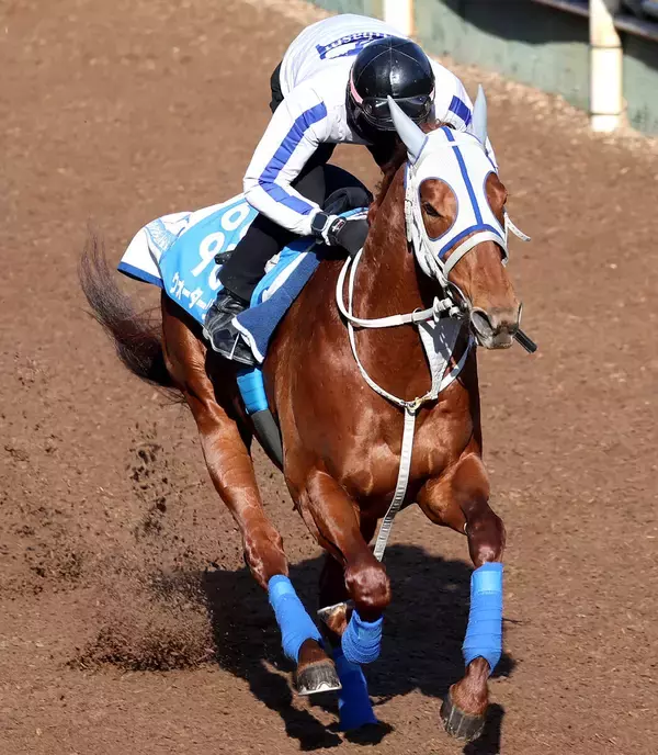 【読売マイラーズＣ】ウォーターリヒトは角馬場からＤＰコースで最終調整　石橋調教師「問題なく来ている」