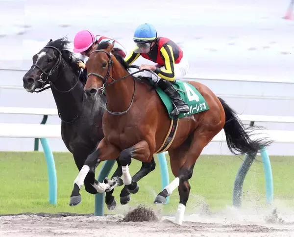 【ユニコーンＳ　レースメモ】シルバーレシオ　ルヴァンスレーヴ産駒７頭の出走で重賞初勝利