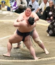 琴桜が２連勝　強烈な当たりから義ノ富士を圧倒、星を五分に