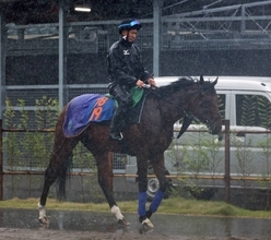 土曜京都競馬場の注目激走馬…京都１１Ｒ・平安ステークス・Ｇ３