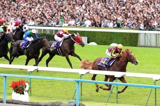 「しまむらで競走馬グッズを！？」「こんなの売り切れちゃうじゃん！」名馬がデザインされたグッズ発売発表が反響