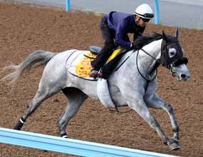 【府中牝馬Ｓ・１週前】菊沢一樹騎手を背に「前走に比べてリラックス」　コガネノソラが重賞連勝へ好ムード