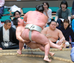 十両・炎鵬　日翔志に敗れて２敗目も土俵際の粘りに大歓声「最後まで諦めないと思った」