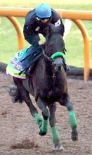 【有馬記念】ラストランもＣＷコース４ハロン追いで仕上げたジャスティンパレス　杉山晴調教師の狙いとは