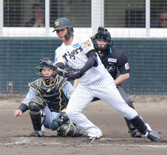 【阪神】具志川から参加の西純矢が紅白戦で快音「秋は全然バットが振れなかった」野手転向「応援がすごくありがたい」