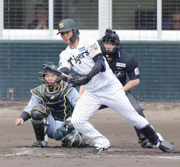 【阪神】具志川から参加の西純矢が紅白戦で快音「秋は全然バットが振れなかった」野手転向「応援がすごくありがたい」